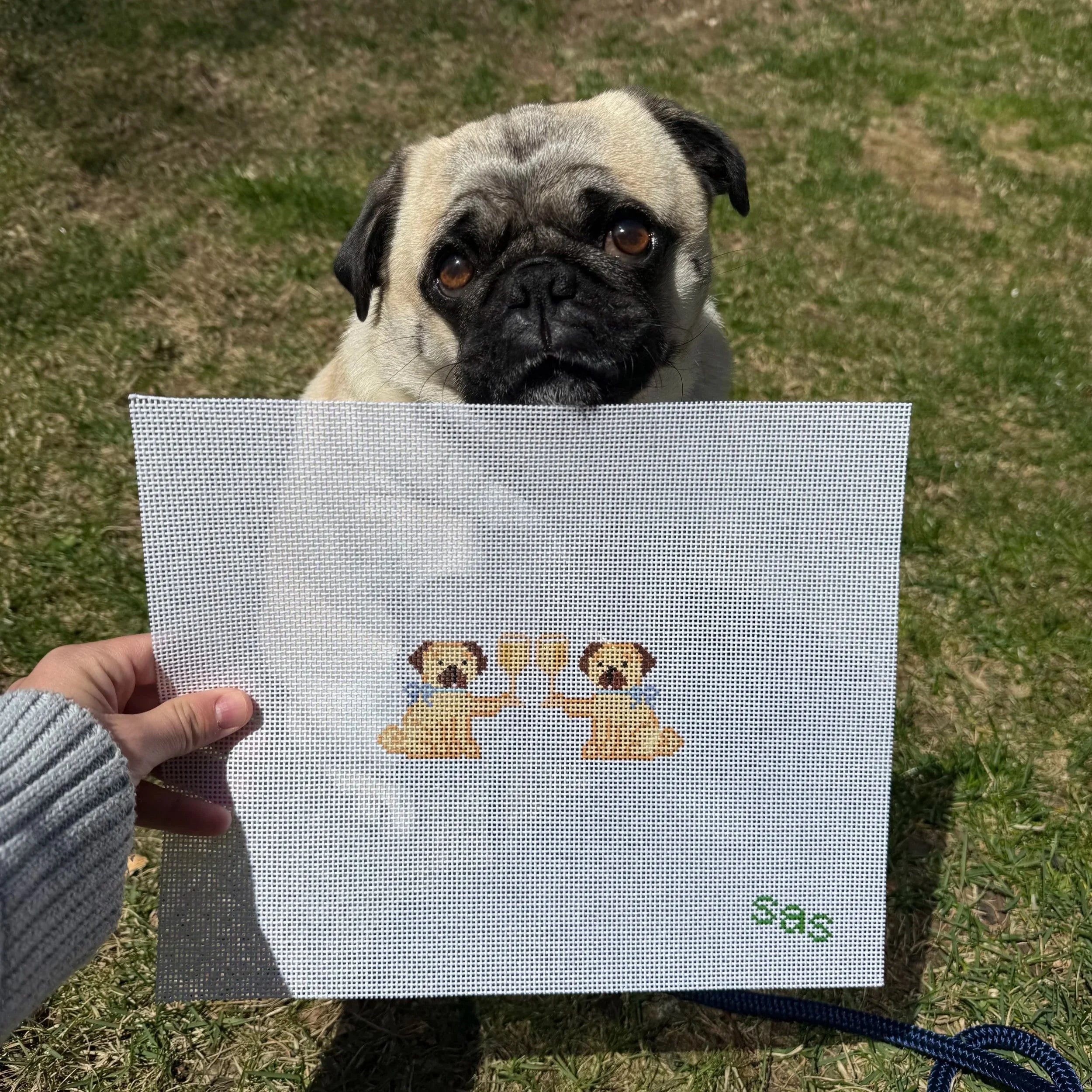 Drinking Buddies - Pug