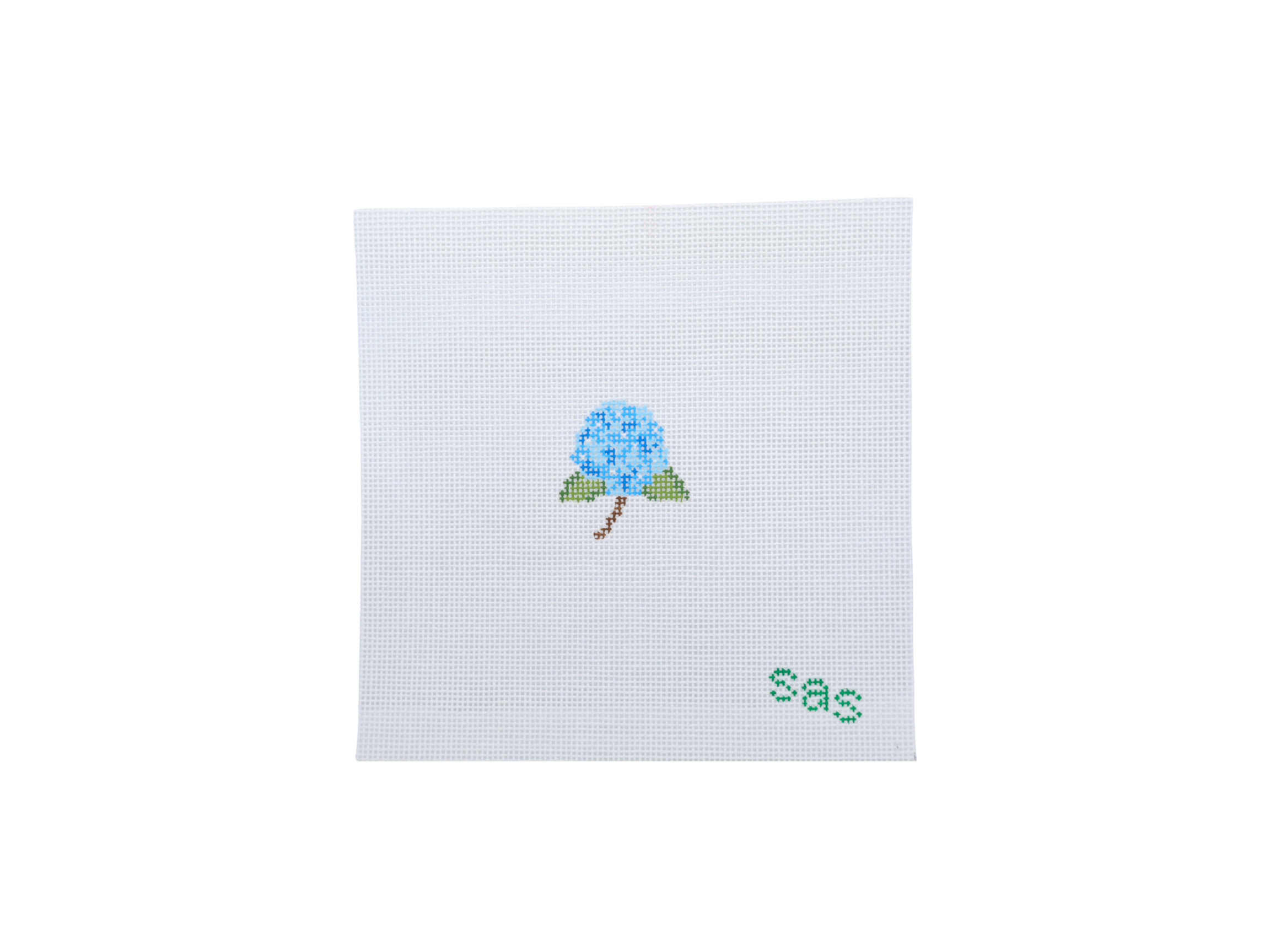 Mini Hydrangea (Blue) (Pre-order - 8 weeks)
