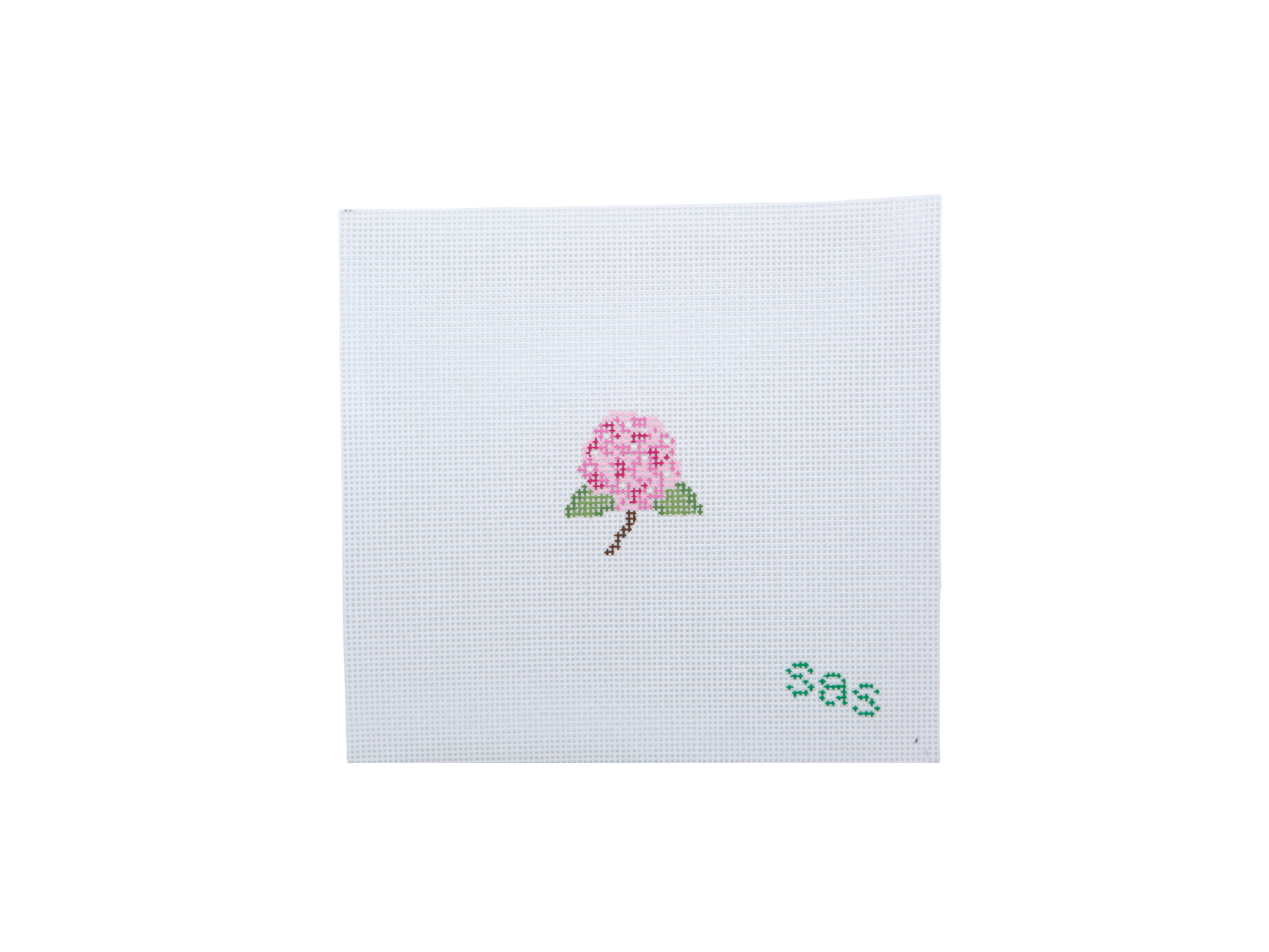 Mini Hydrangea (Pink) (Pre-order - 8 weeks)